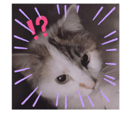 733349766