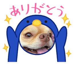 733370622