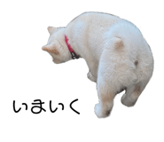 733378693