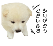 733378694