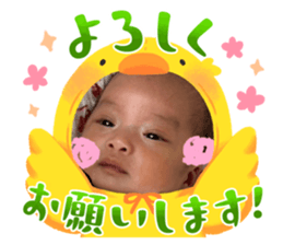 733378930