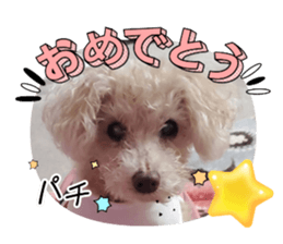 733380282