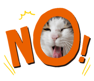 733387374