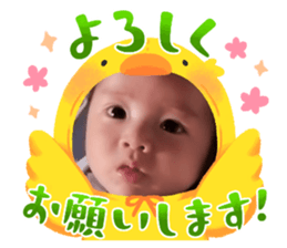 733387560
