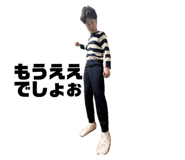 733388313
