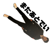 733388315