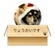 733388330