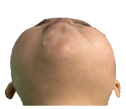 733402224