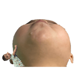 733402225