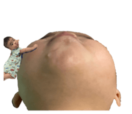 733402226