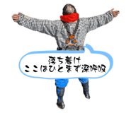 733413272