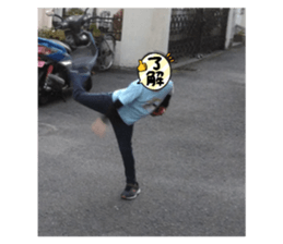 733418875