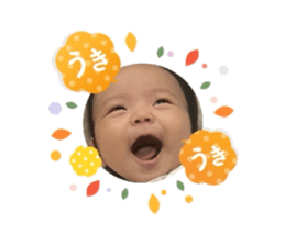733424737