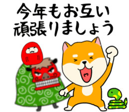 733430517