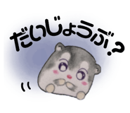 733456329