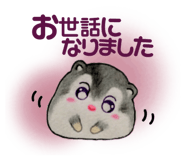 733456334