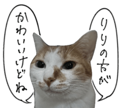 733457139