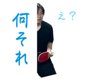 733459135