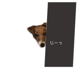 733459468