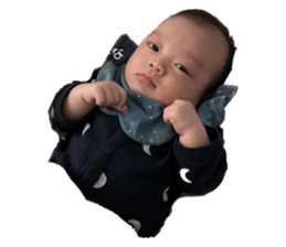 733480544