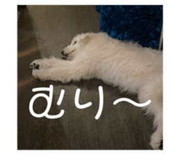 733486531