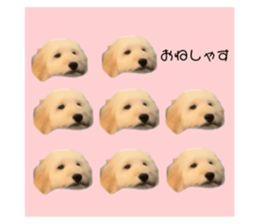 733486532