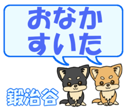 733543428