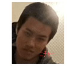 733549497