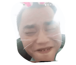 733550147