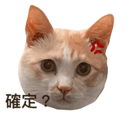 733550163