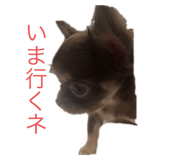 733551514
