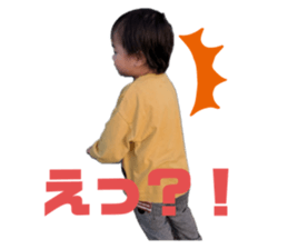 733552978