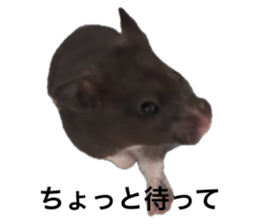 733553211
