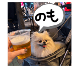 733553377
