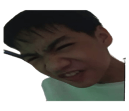 733558337