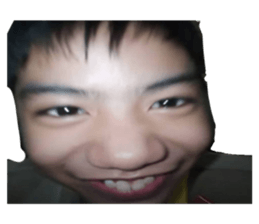 733558341
