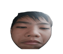 733558344
