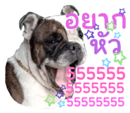 733558549