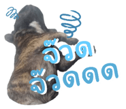 733558561