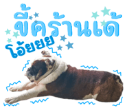733558583