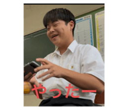 733559355
