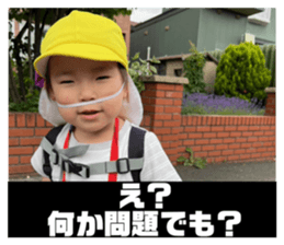 733559728