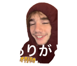 733561248