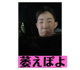 733561804