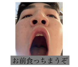 733561805