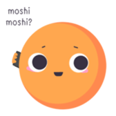 733568875