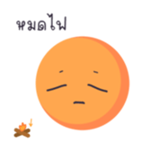 733568879