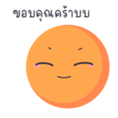 733568880