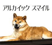 733569630