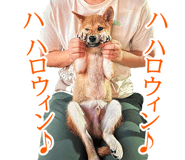 733569640